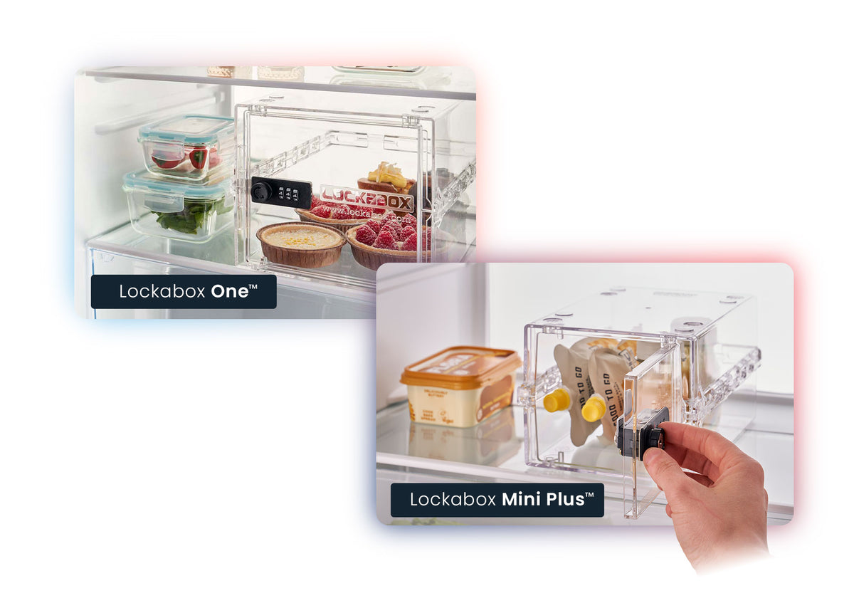 Keep Food Safe with a Lockable Refrigerator Box | Lockabox