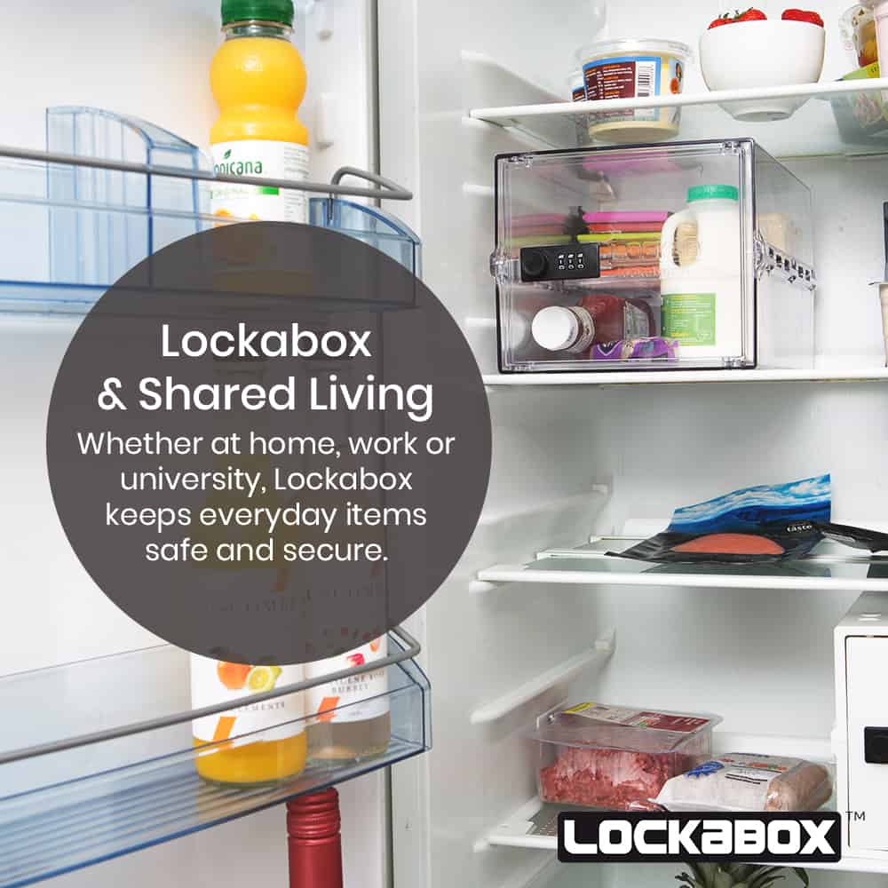 Fridge safe | lockable fridge box