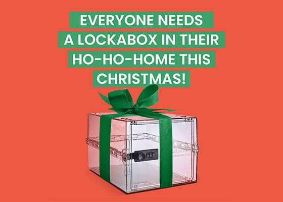 Lockabox One Christmas | storage box with lock - combination lock box