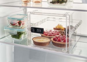 Crystal fridge safe with combination lock in fridge