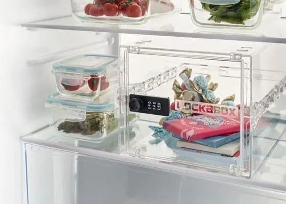 Fridge containing Lockable Storage box